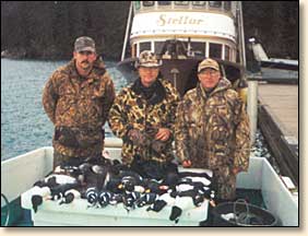 kachemak bay duck hunting